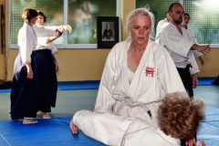 Aikido-Sommer-Lehrgang