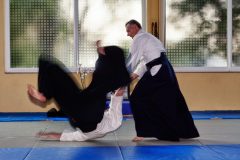 Aikido-Sommer-Lehrgang