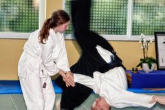 Aikido-Sommer-Lehrgang