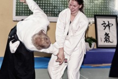 Aikido-Sommer-Lehrgang