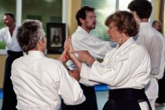 Aikido-Sommer-Lehrgang