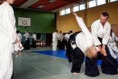 Aikido-Sommer-Lehrgang