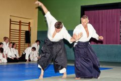 Aikido-Sommer-Lehrgang