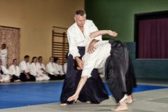 Aikido-Sommer-Lehrgang