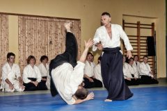 Aikido-Sommer-Lehrgang