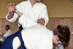 Aikido-Sommer-Lehrgang