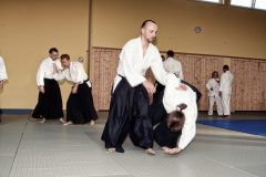 Aikido-Sommer-Lehrgang