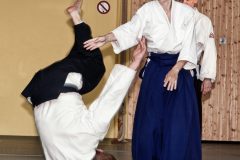 Aikido-Sommer-Lehrgang