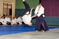 Aikido-Sommer-Lehrgang