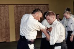 Aikido-Sommer-Lehrgang