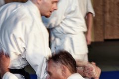 Aikido-Sommer-Lehrgang