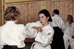 Aikido-Sommer-Lehrgang