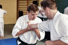 Aikido-Sommer-Lehrgang