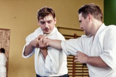 Aikido-Sommer-Lehrgang