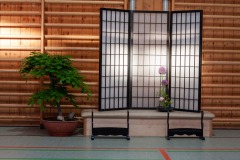 Onoha-Ittoryu-Lehrgang