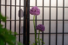 Onoha-Ittoryu-Lehrgang