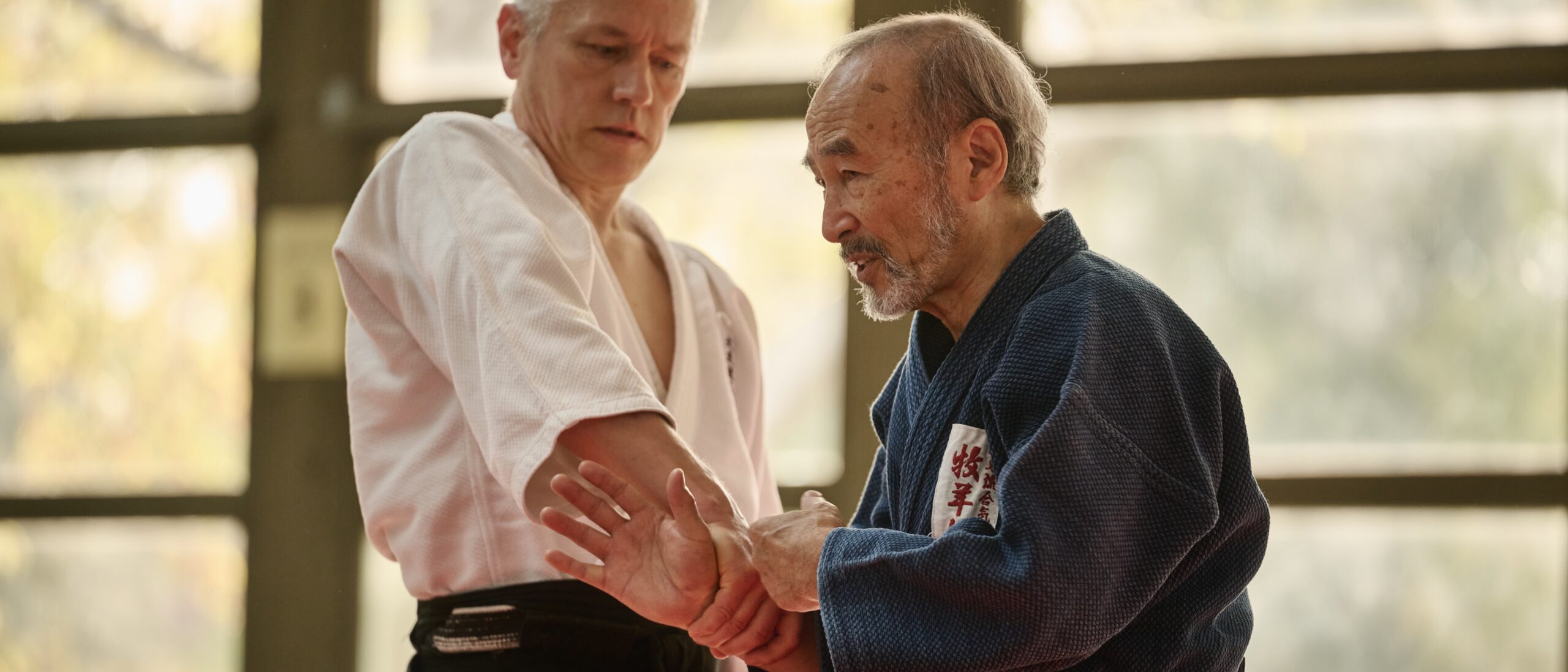 Aikido-Trainings-Situation